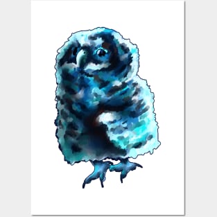 Baby Blue Owl Posters and Art